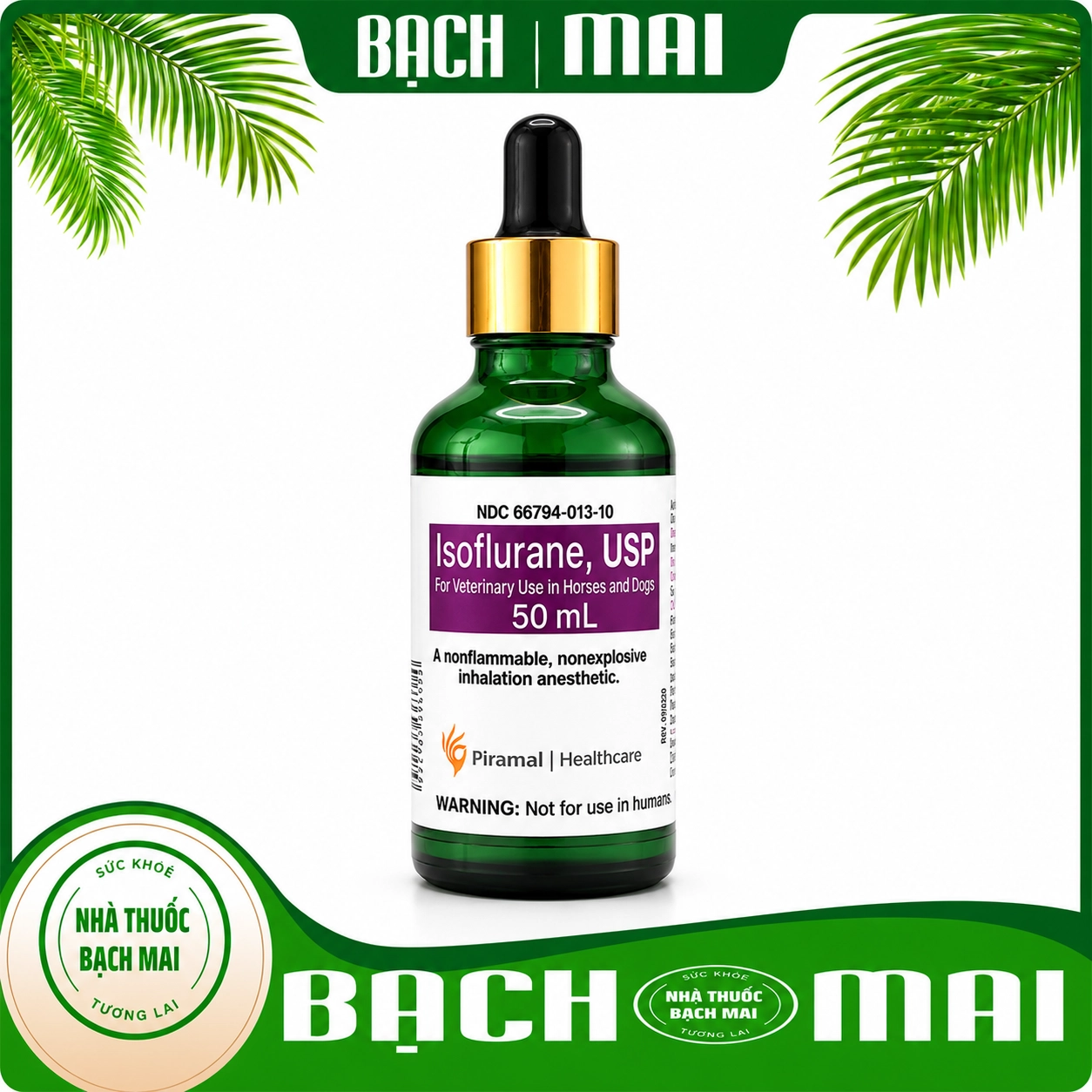 Thuốc Gây Mê Isroflturane USP Nhập Khẩu Chính Hãng Tại Viện Bạch Mai (Dạng Nước)